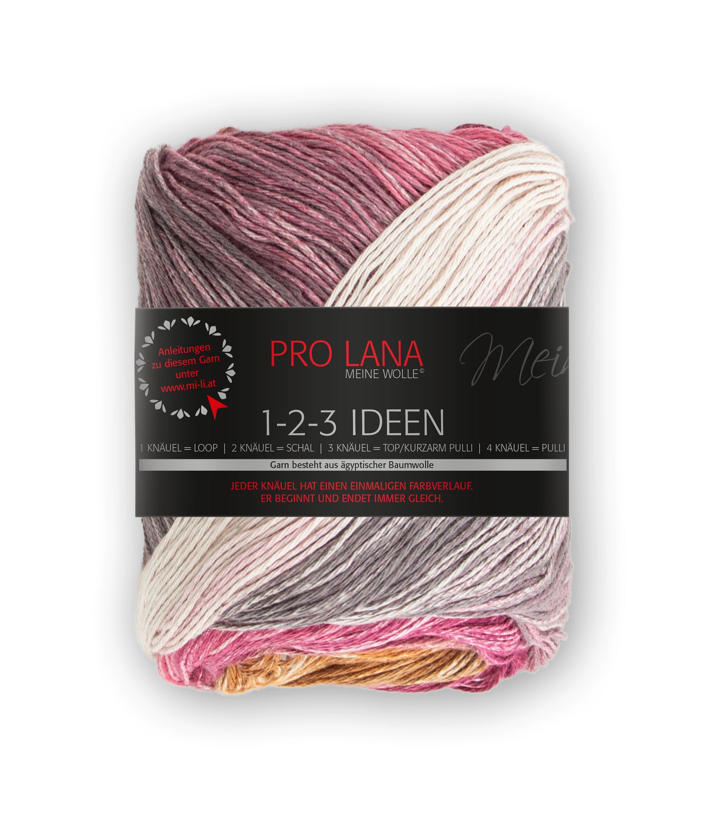 Pro Lana 1-2-3 Ideen F. 09
