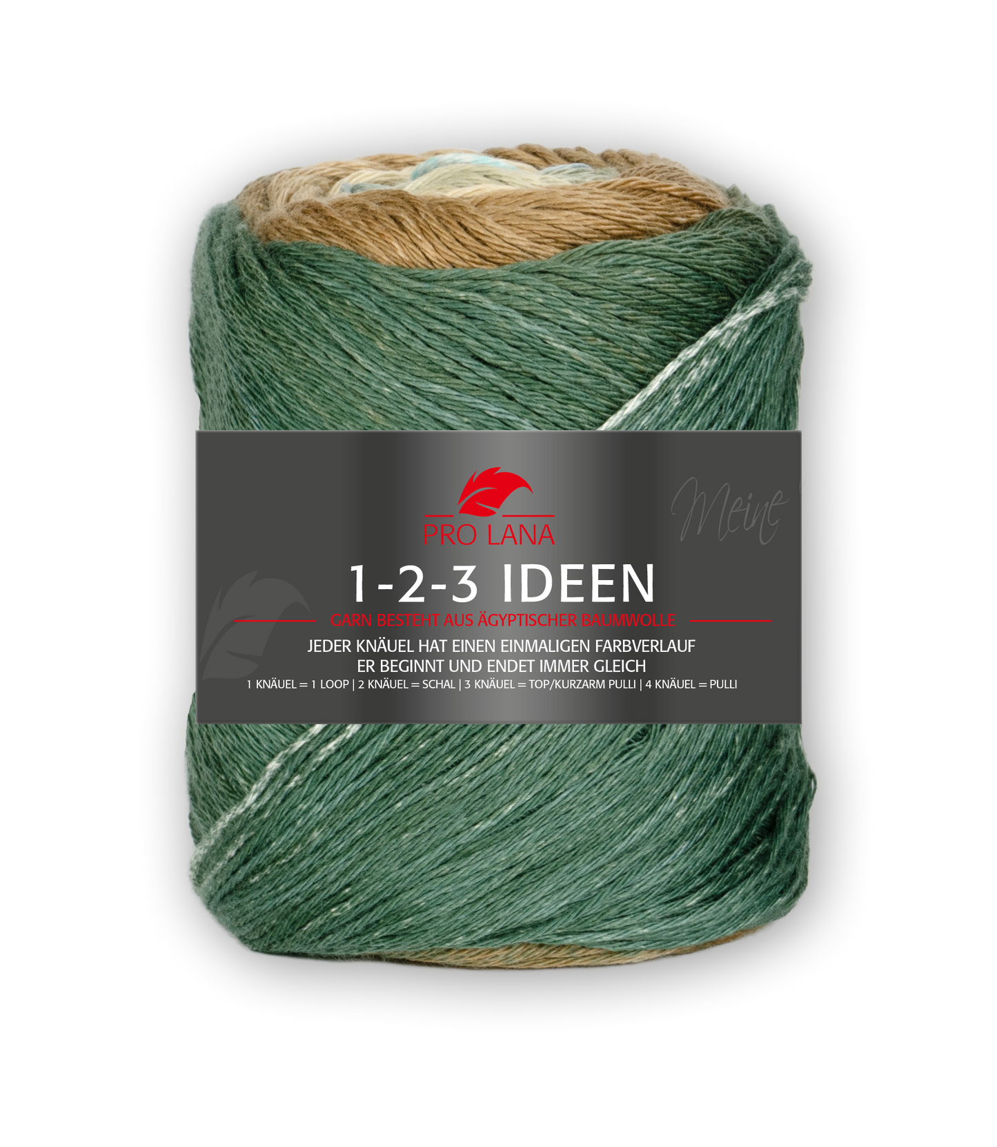 Pro Lana 1-2-3 Ideen F. 17