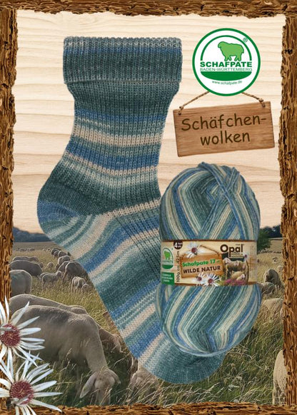 Schafpate 17 - wilde Natur 4-fach "Schäfchenwolken" F. 11594