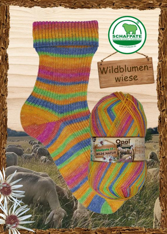 Schafpate 17 - wilde Natur 4-fach "Wildblumenwiese" F. 11597
