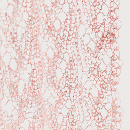 essentials super kid mohair loves silk Glamorous Glitter F. 008