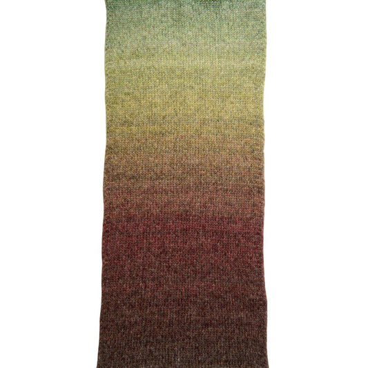 Fashion Merino Alpaca Fusion Chunky F. 010