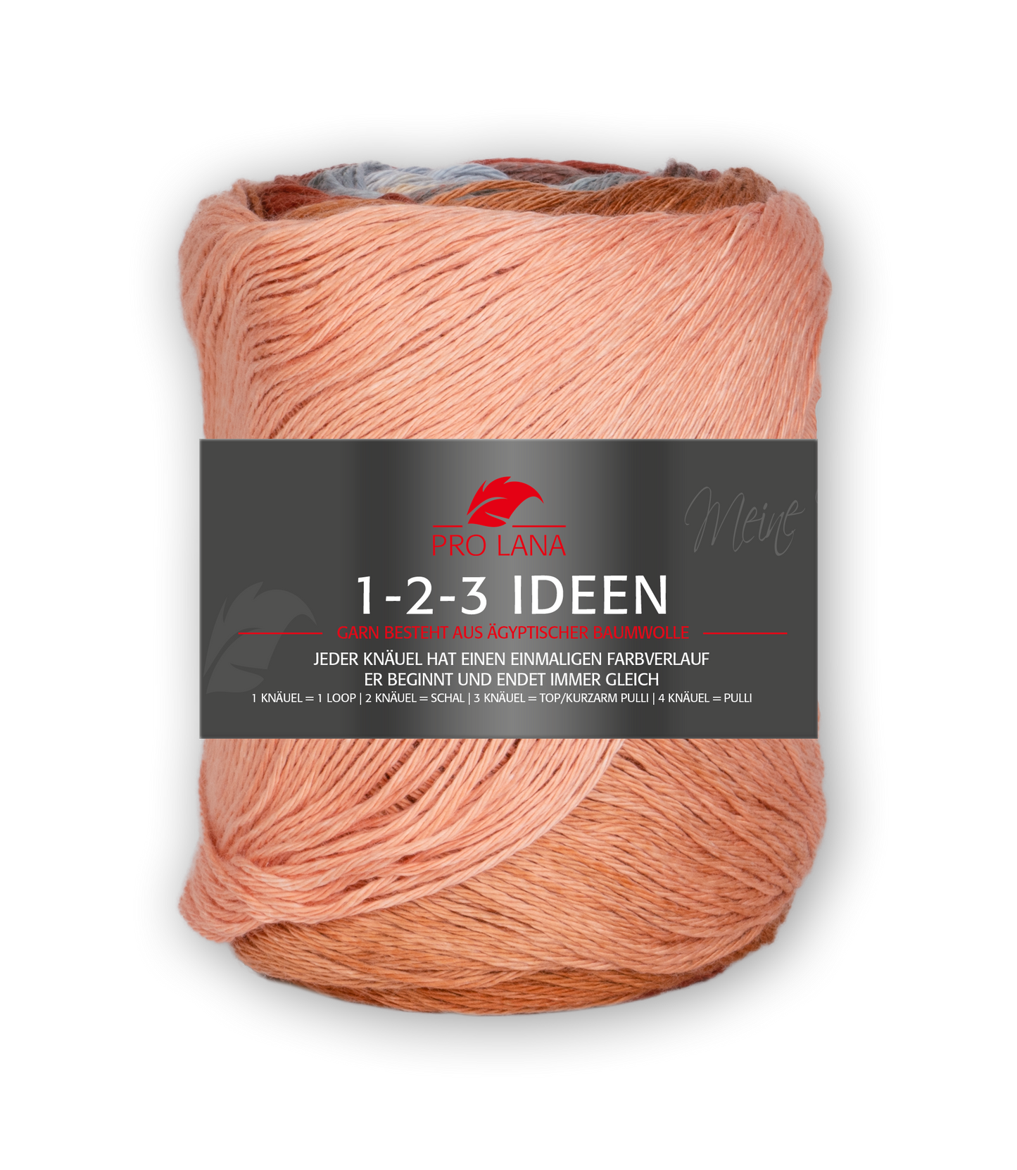 Pro Lana 1-2-3 Ideen F. 2046