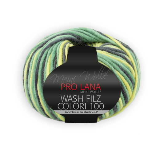 Wash Filz Colori 100 F. 702