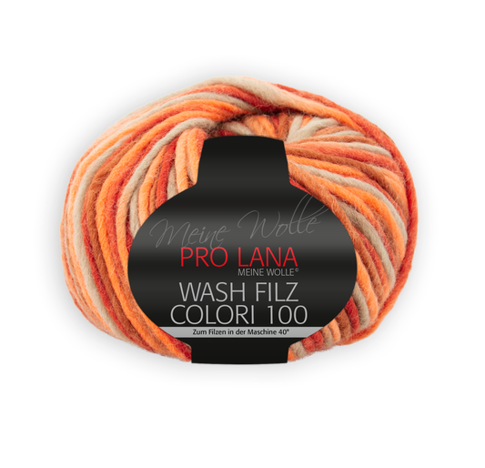 Wash Filz Colori 100 F. 704