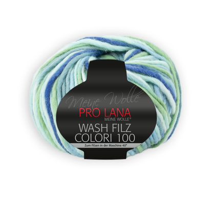 Wash Filz Colori 100 F. 709