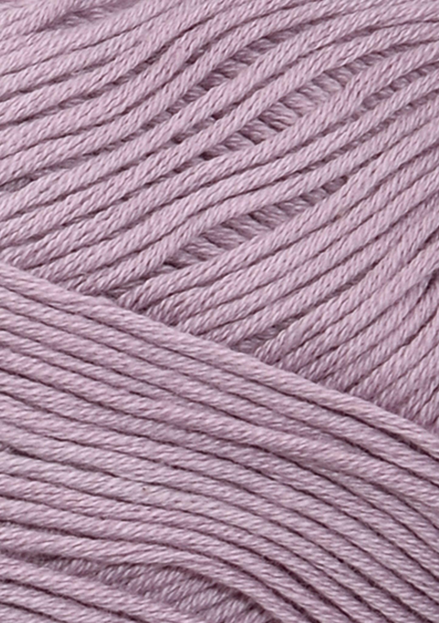 Mandarin Petit F. 4622