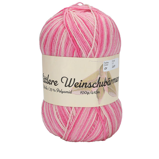 Schmetterling "Mittlere Weinschwärmer" 4-fach F. 01