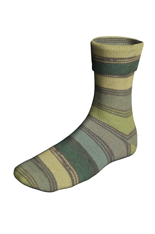 Super Soxx Merino Color "ElementSoxx" 4-fach F. 0527