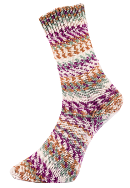 Pro Lana Golden Socks Fjord Socks Multicolor 4-fach F. 481